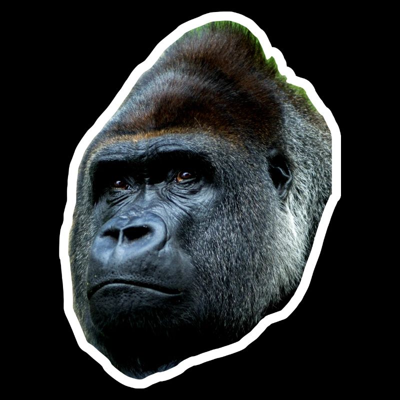 Gorilla cool simple