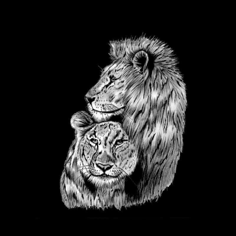 lion et lionne