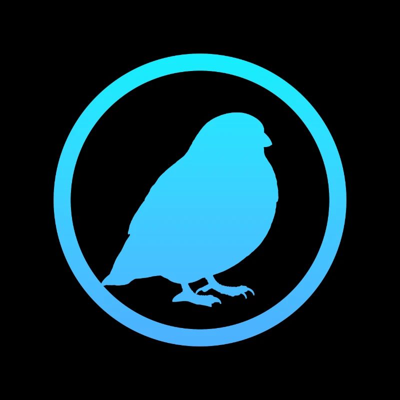Oiseaux Oiseaux Oiseaux