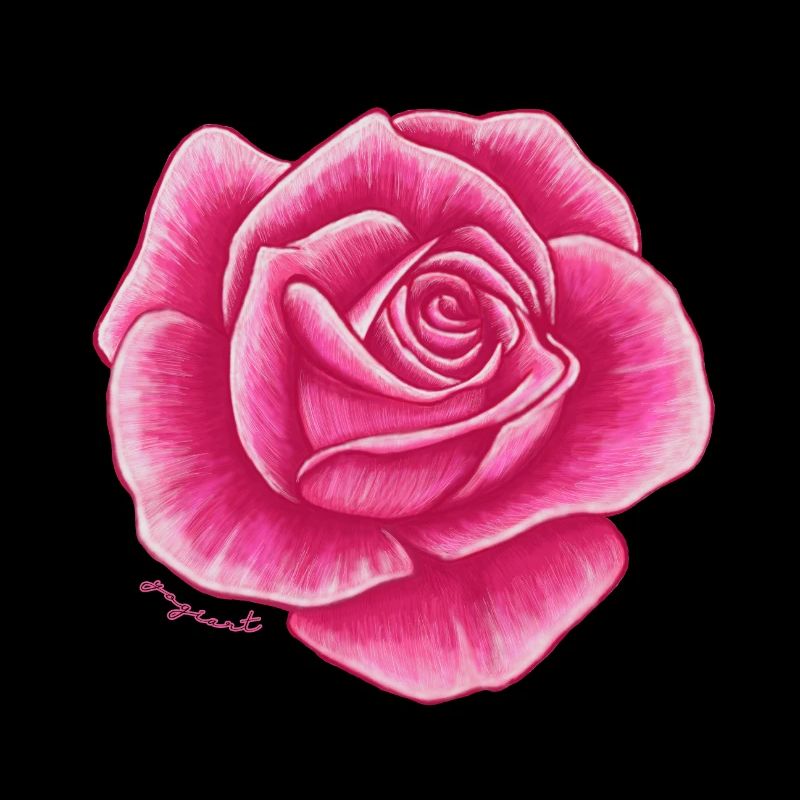 Rose pink red