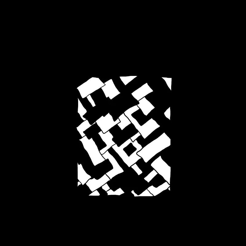 Toits croisés noir-blanc