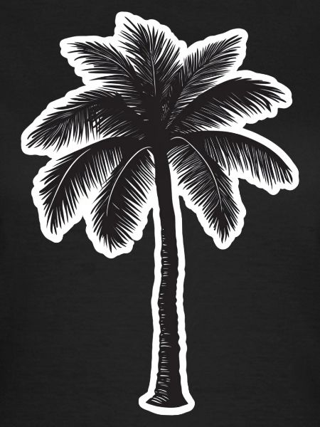 Palme