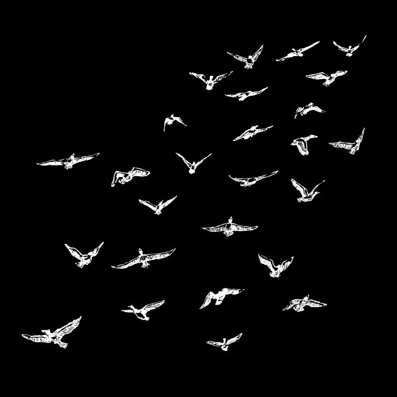 Nuée d'oiseaux