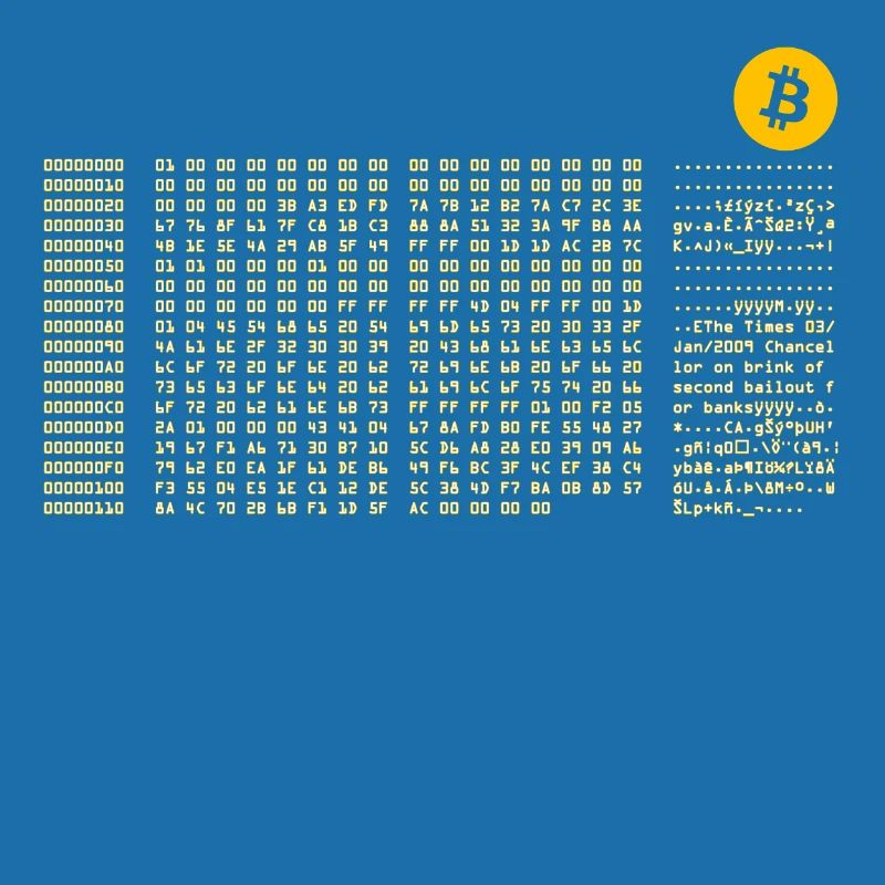 Bitcoin First Block Zero Nerd