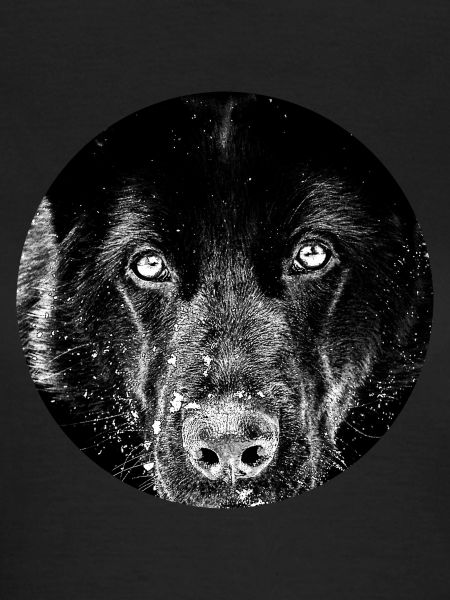 Schwarzer Schäferhund