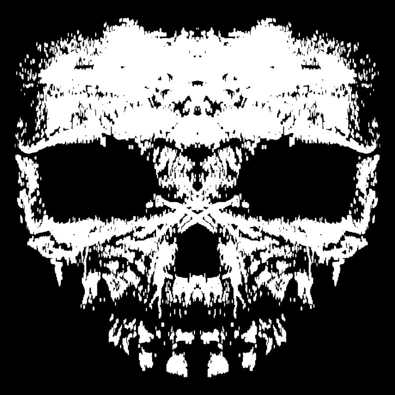 Voodoo Skull