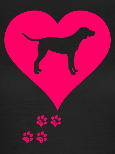 Labrador