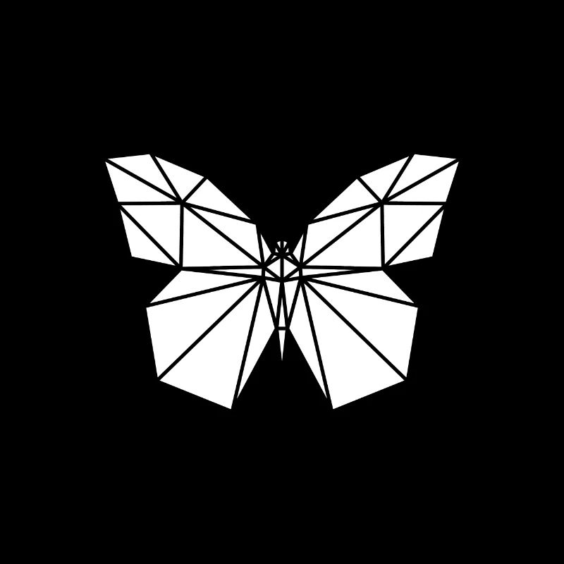 Polygone papillon
