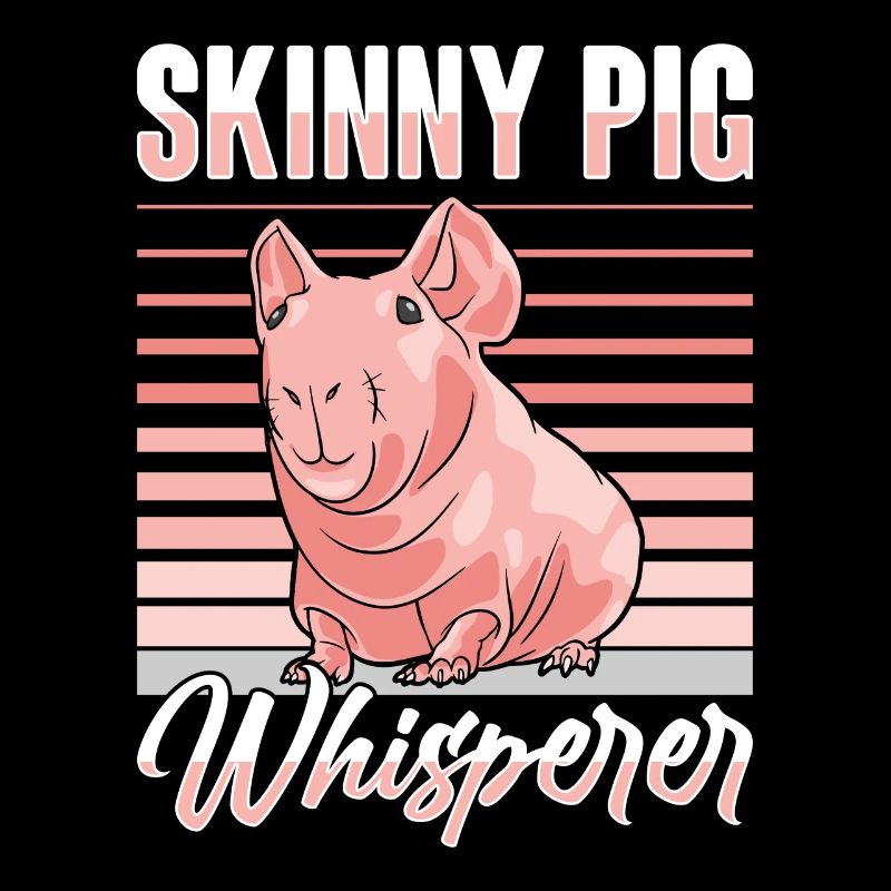 Cochon d’Inde sans poils Cochon maigre