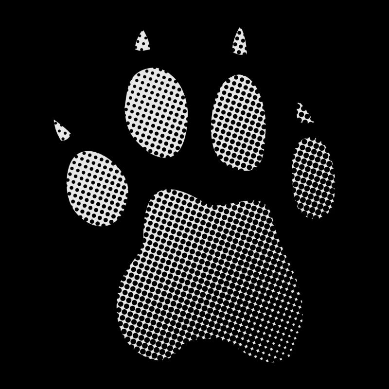 Guépard Cheetah Footprint Empreinte