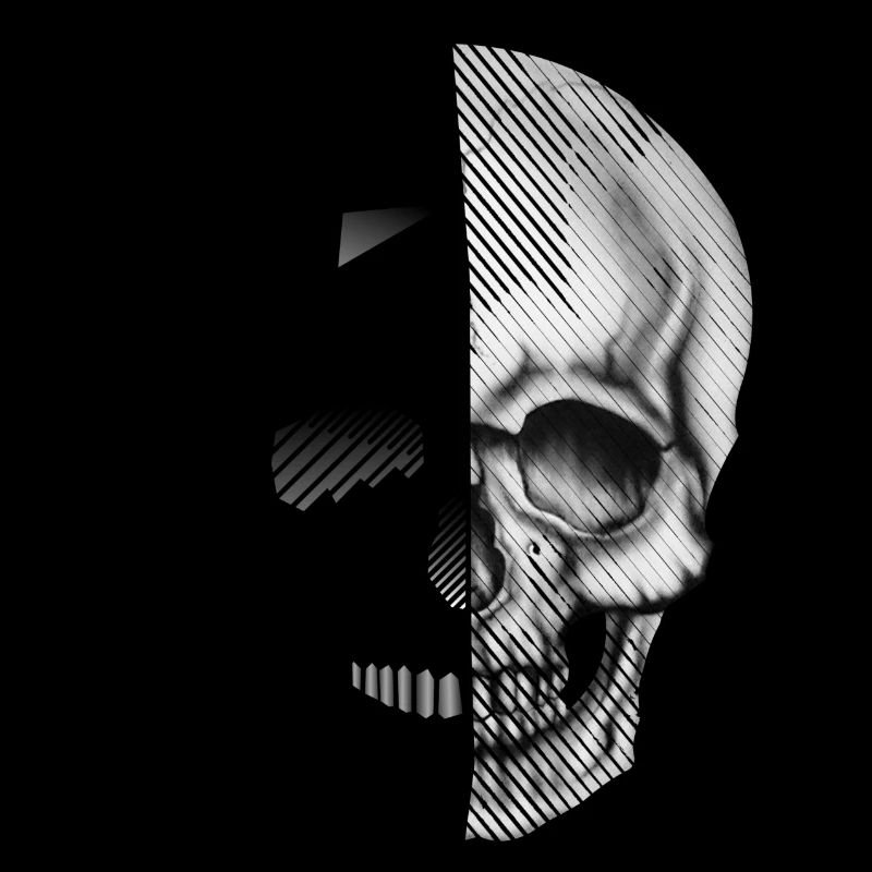 Skull Polygon