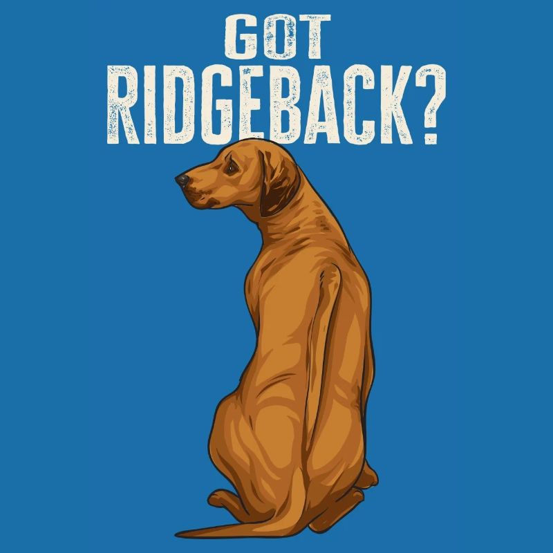 Rhodesian Ridgeback Hund