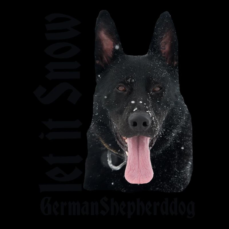 Schäferhund,Deutscher Schäferhund,Hundesport,hunde