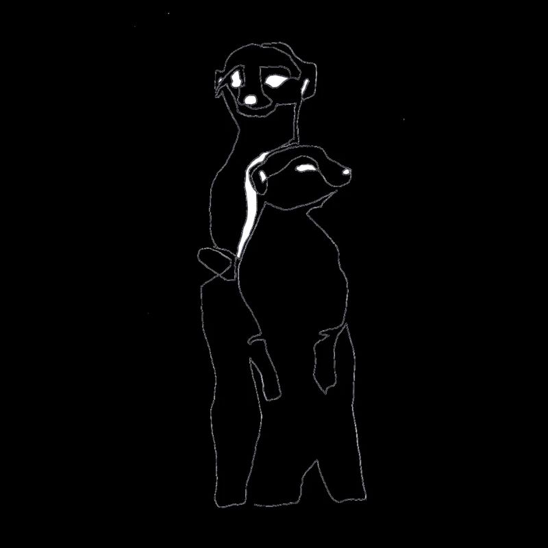 2 suricates suricates