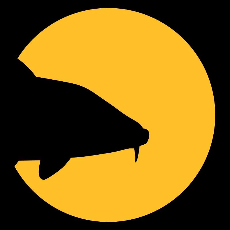 Carp