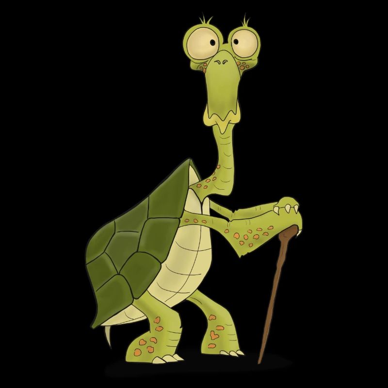 Octogenarian turtle