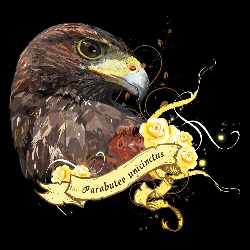 harris hawk