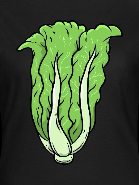 Cabbage Vegetables