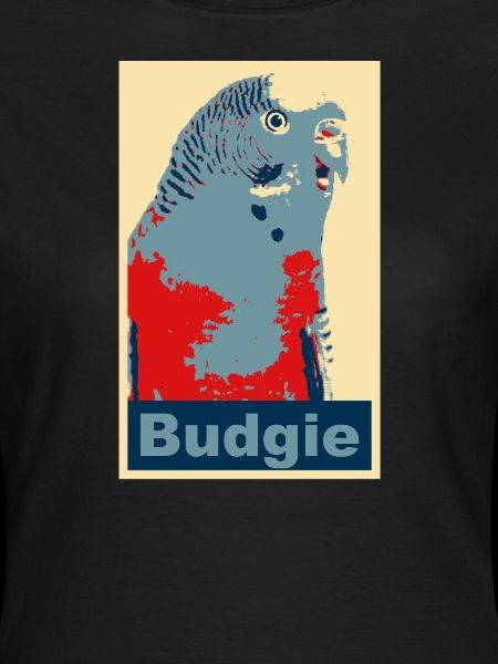 Perruche budgie image