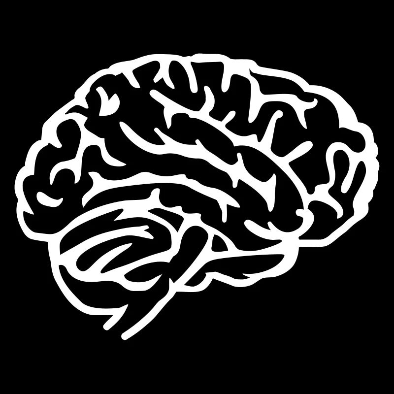 Brain