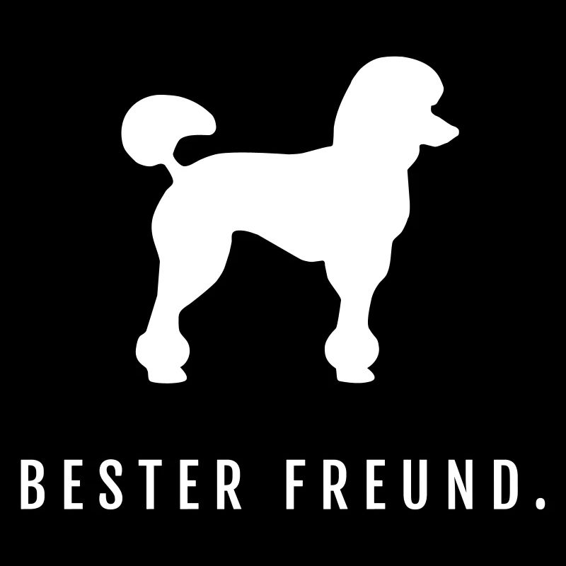 Pudel - Bester Freund