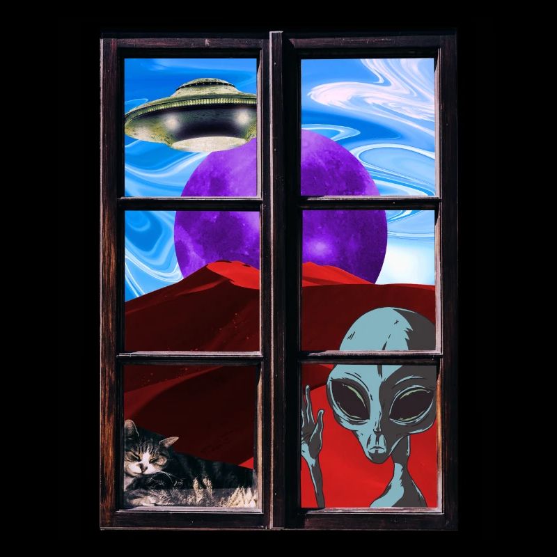Strange alien cat UFO