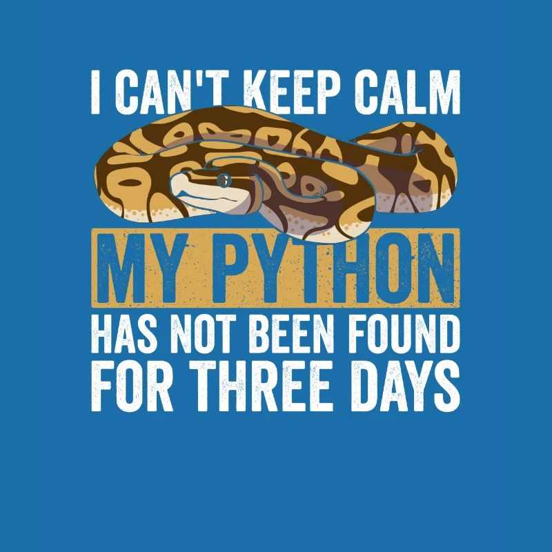 Königspython Bananenkugel Python
