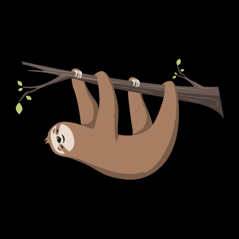 Sloth Sloth hangs on the branch