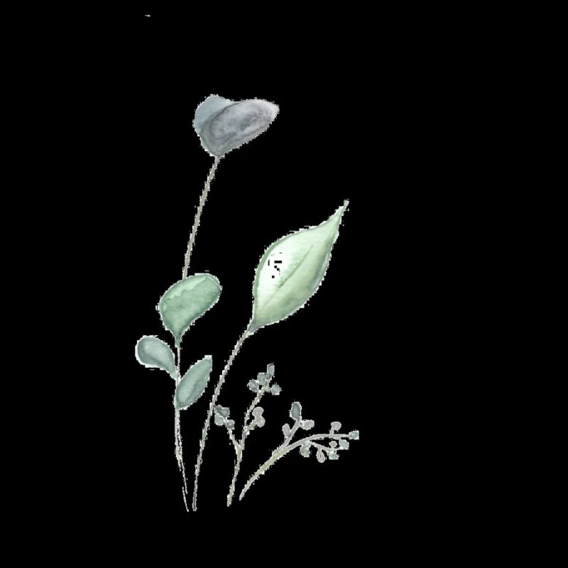 Fleur 1