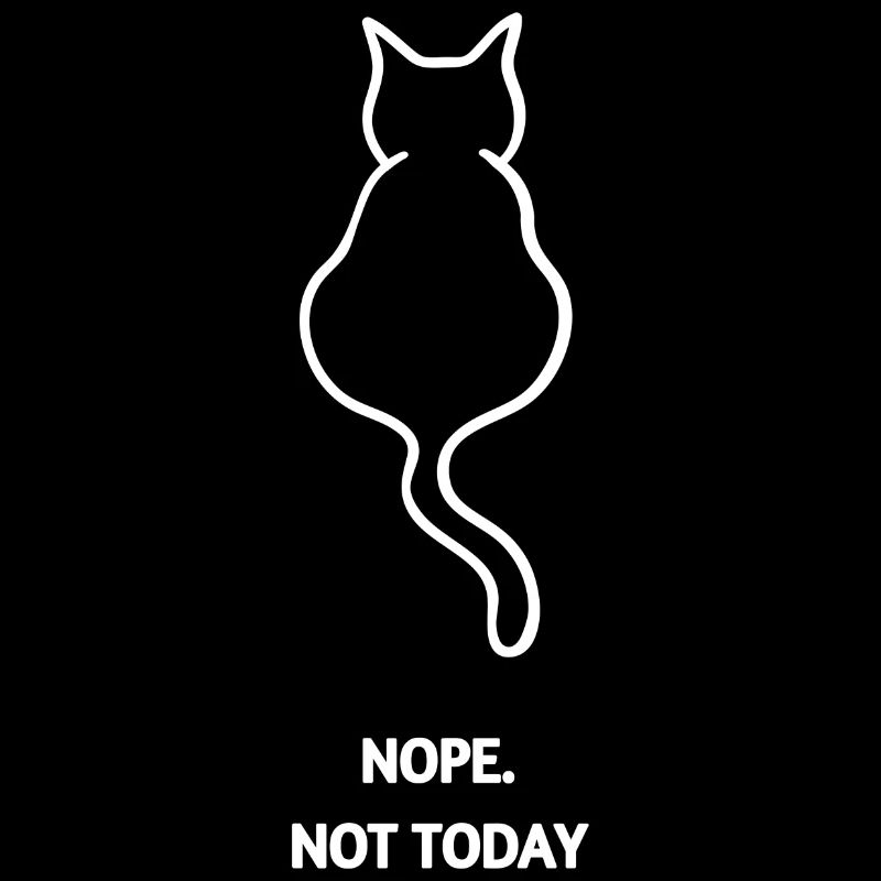 NON PAS AUJOURD’HUI CHAT