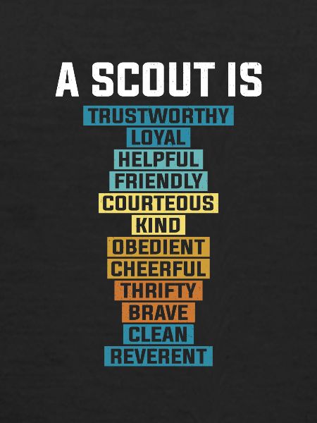 Scout scout