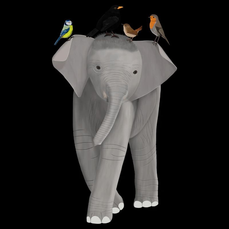 Elephant, Blackbird, Robin, Blue, Wren