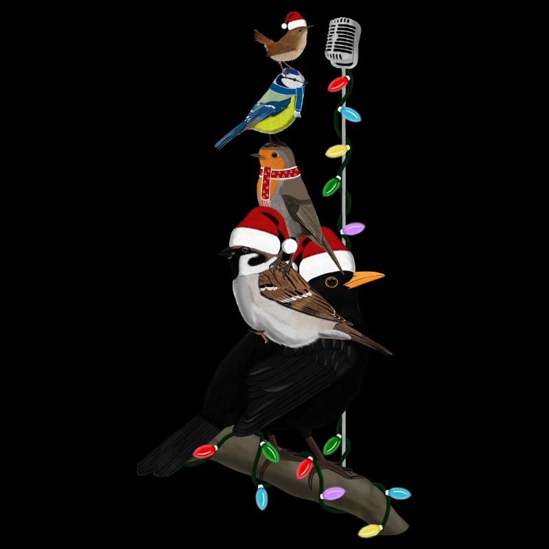 Oiseaux Oiseau de Noël Merle Robin Moineau