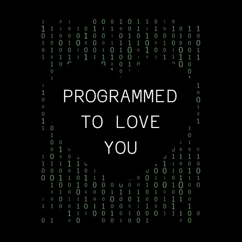 Developer Coder Programmer
