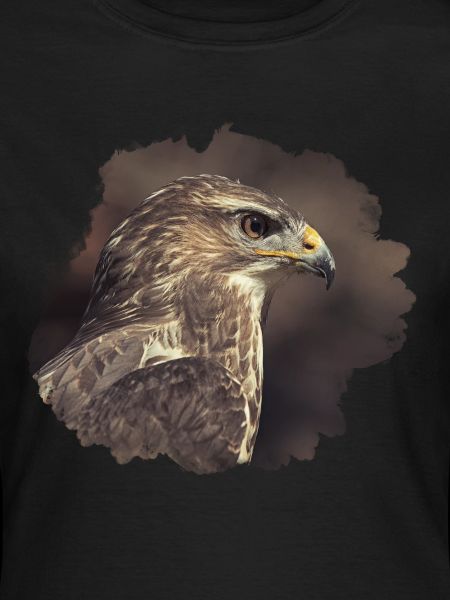 Common buzzard