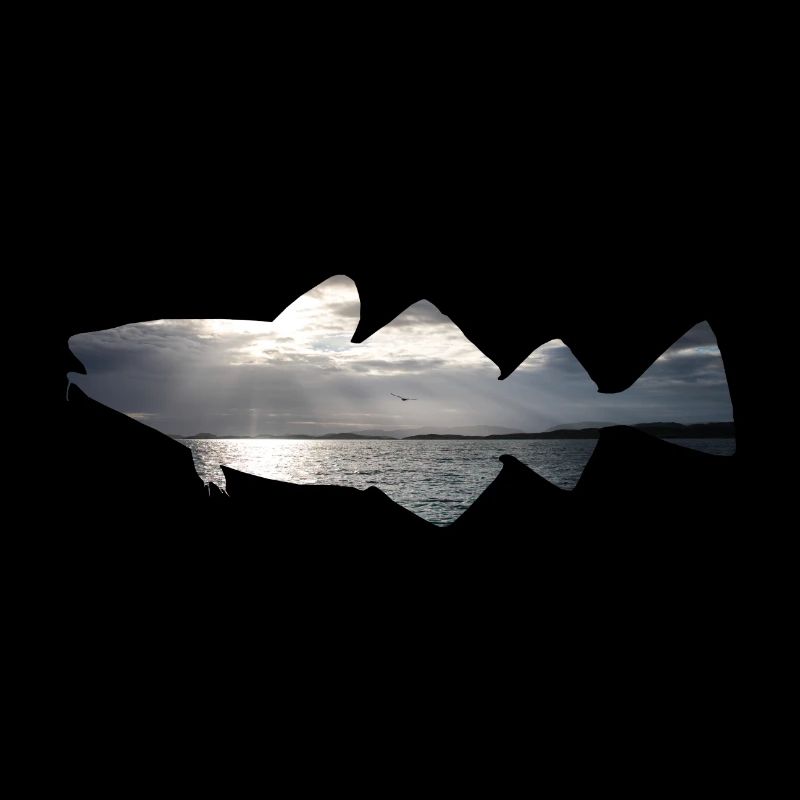 Cod fishing Norway