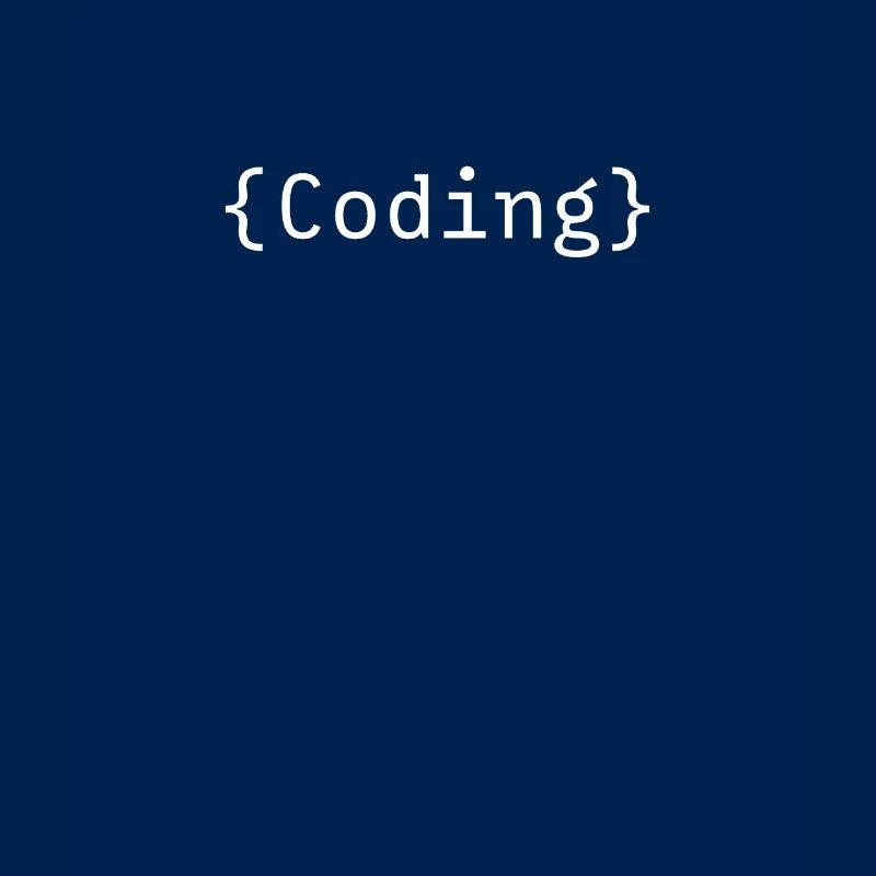 Programmer