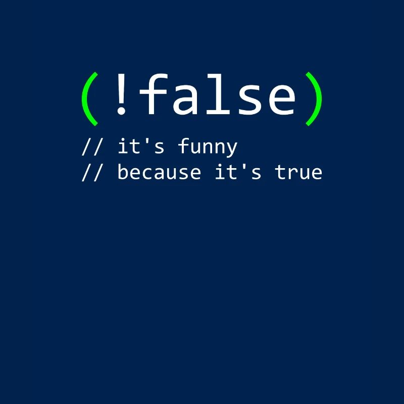 Programmierer Humor false true funny Nerd Geek