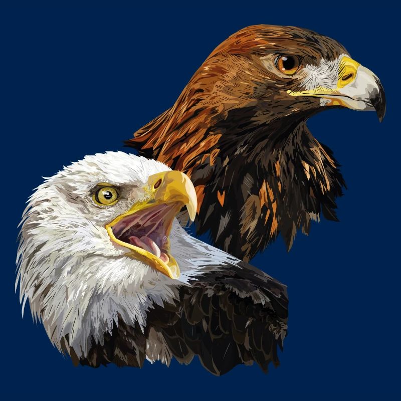 Bald Eagle and Golden Eagle