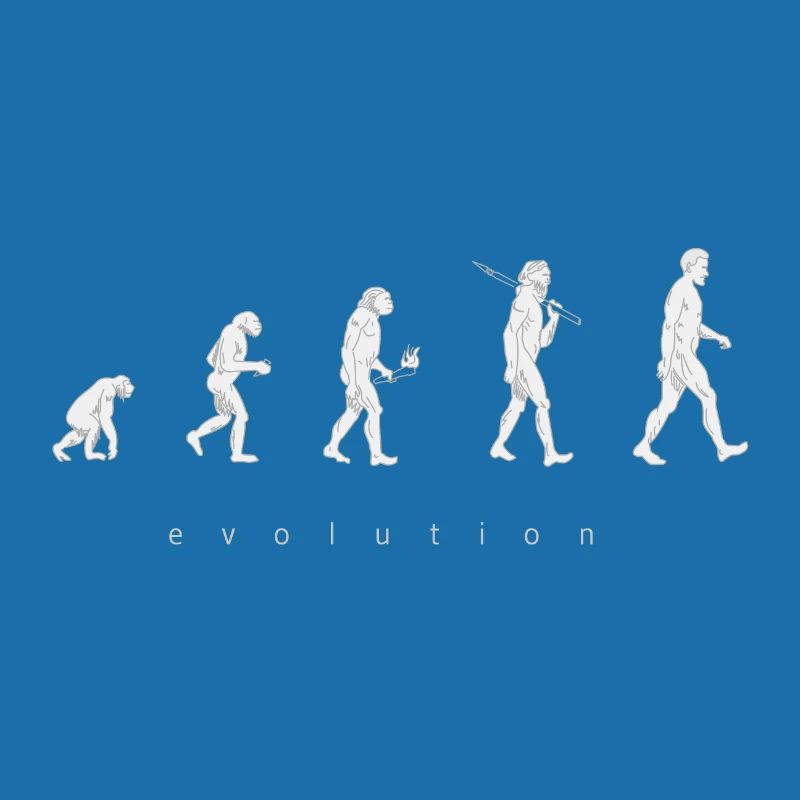 Human evolution