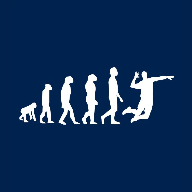 evolution volley