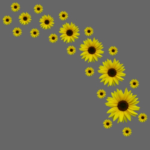 Sonnenblumen, Sonnenblume, Blumen - Frauen T-Shirt