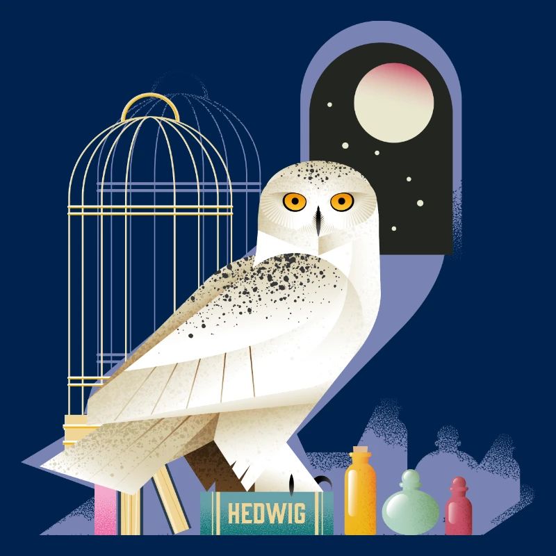 Harry Potter Hedwig Die Eule Bei Nacht