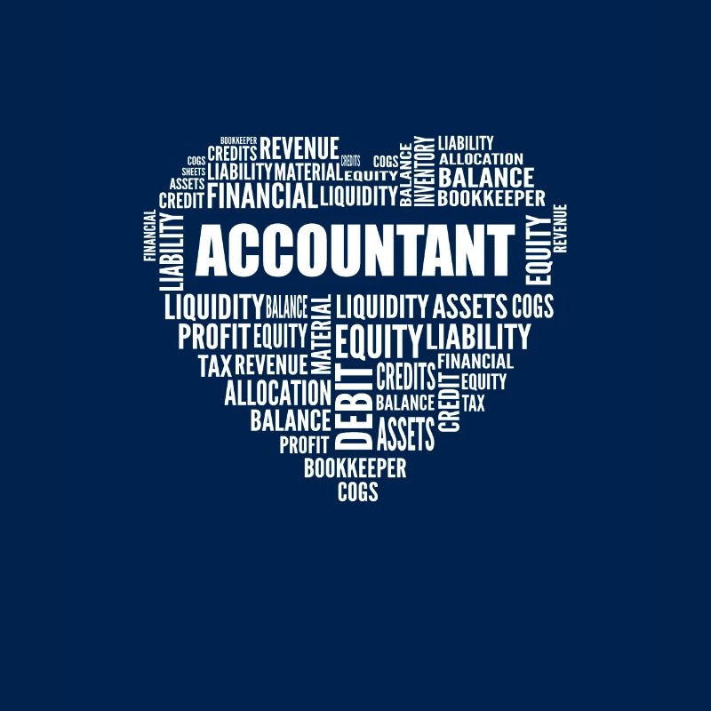 Comptabilité. Pour les CPA et les comptables