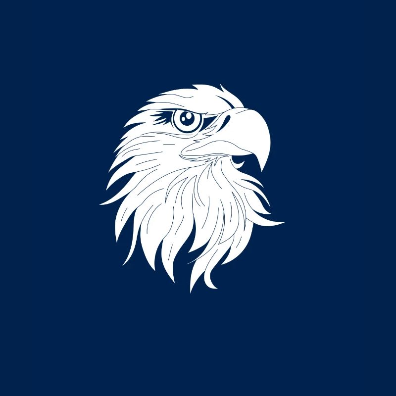 Bird of Prey Head Predator Eagle Falcon Hawk Hawk