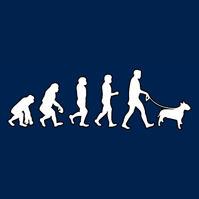 EVOLUTION Labrador