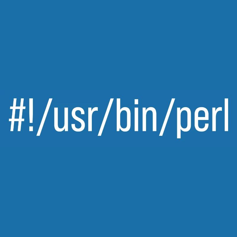 Usr Bin Perl Programmer Programming Languager Meme