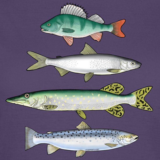 FOUR FISH - Ahven, siika, hauki ja taimen tuotteet