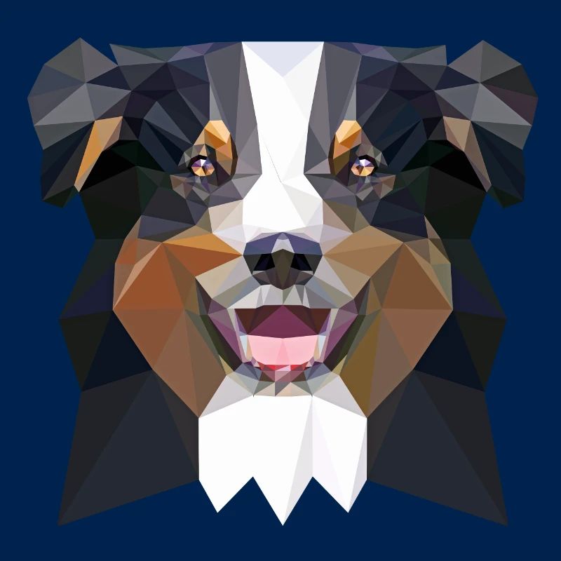 Aussie low poly black