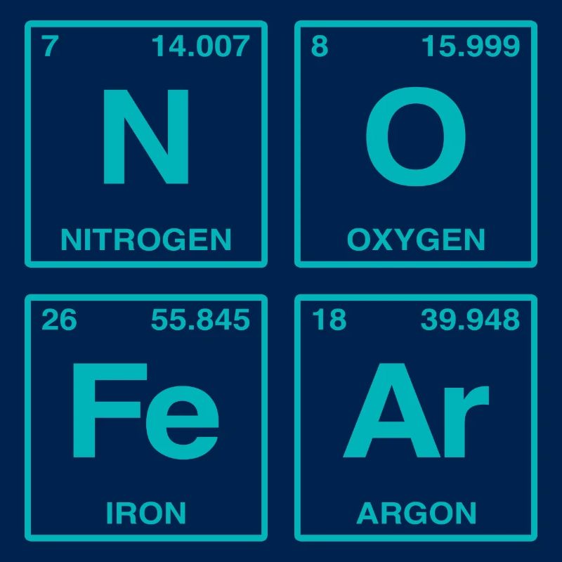 NO FEAR - avec des éléments du système de perdiode
